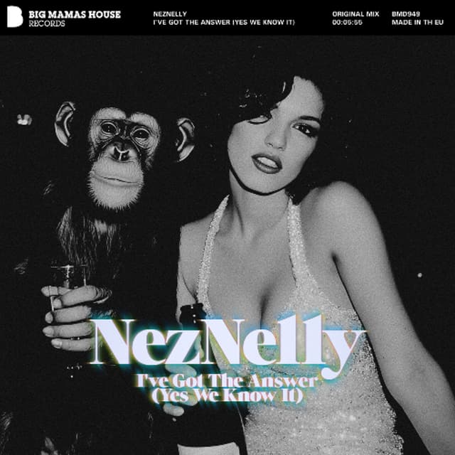 NezNelly - I've Got the Answer (Yes we know it)
