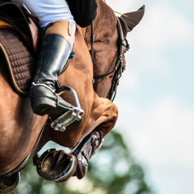 World Showjumping Medal For Ennis' Coen Williams