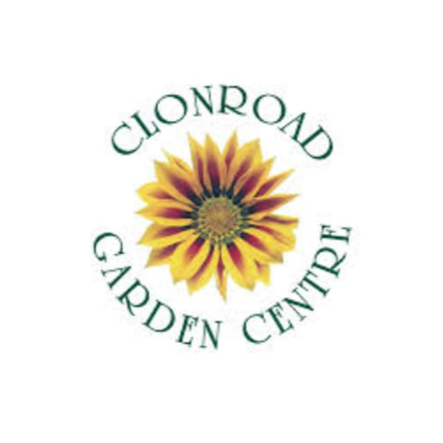 In The Garden: When Should You Plant Spring Flowering Bulbs?