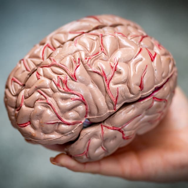 Are humans losing the ability to think for themselves?