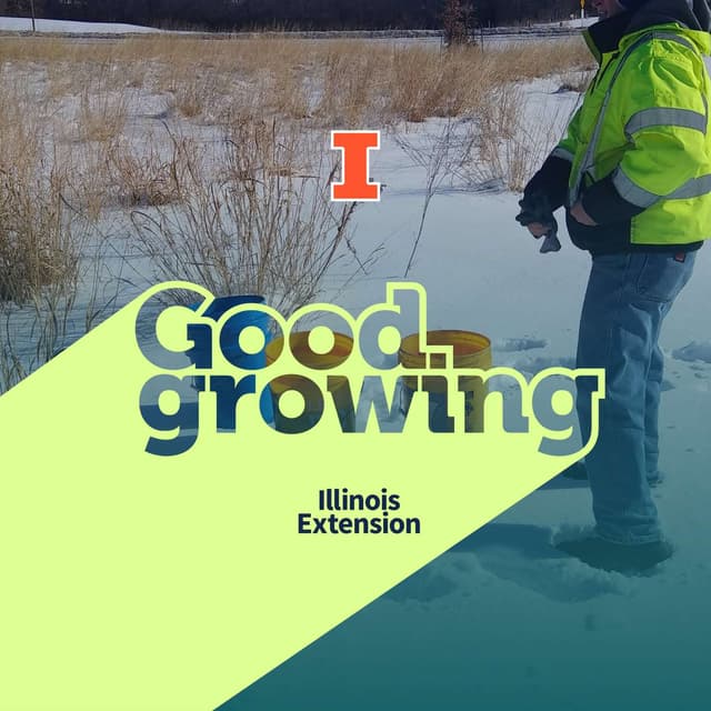 Gardenbite: Boost Prairie Wildflowers with Winter Overseeding | #GoodGrowing