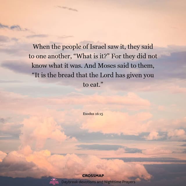 Mayflies and Manna - A Nighttime Prayer