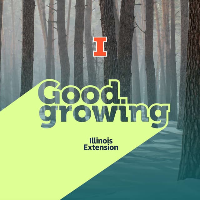 Gardenbite: How Trees Survive Cold Winters | #GoodGrowing