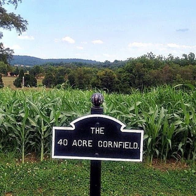 Listener spotlight: A Civil War-mad Canadian