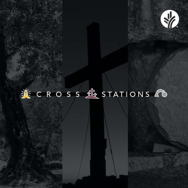 Cross Stations - Week 2