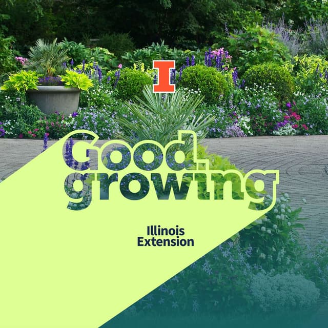 Gardenbite: Color Theory in the Garden | #GoodGrowing
