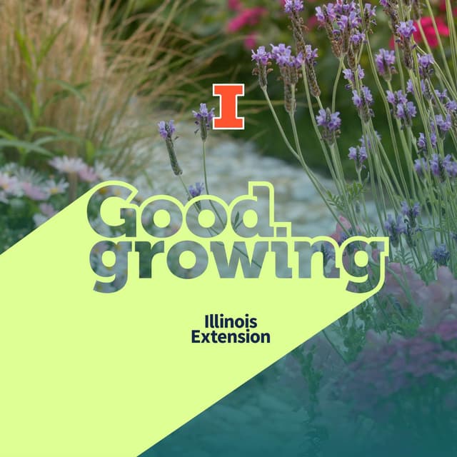 Ep. 254 How We Became Horticulturists: Real Stories & Career Paths in Plant Science | #GoodGrowing