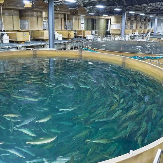 Sharjah Teaching Sustainable Fishing (24/09/26)