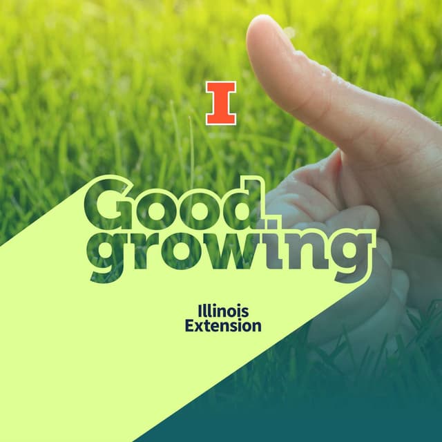 Ep. 261 Horticultural rules of thumb | #GoodGrowing