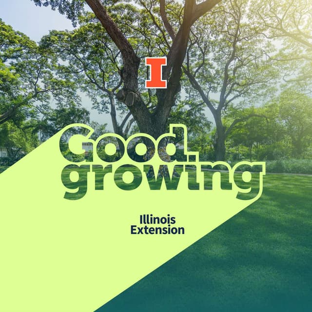 Ep. 247 Planting with Purpose: Tree Equity and Our Communities | #GoodGrowing
