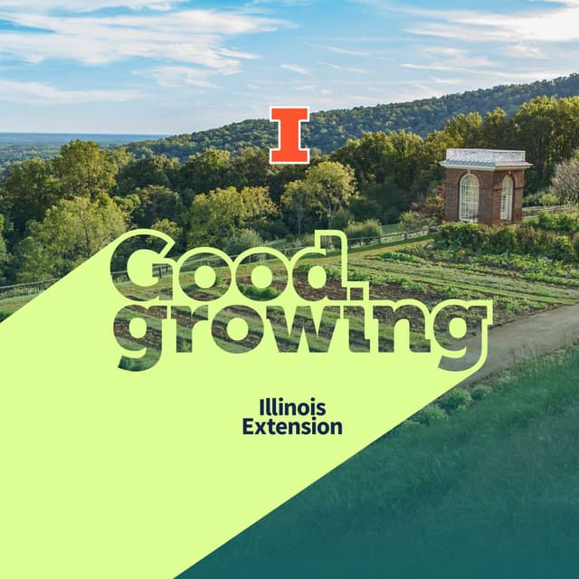 Ep. 258 Gardens of the Founding Fathers |#GoodGrowing