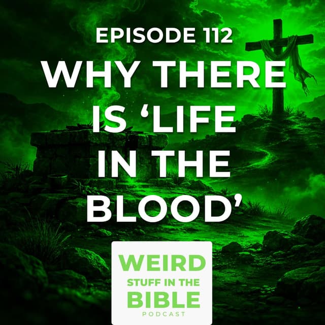 What it Means that there is ‘Life in the Blood’