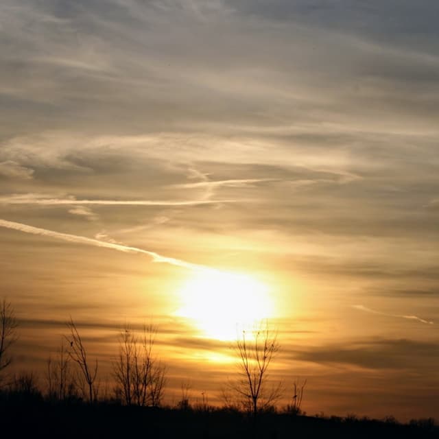 TRANSFORMING LIGHT