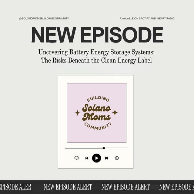 Uncovering Battery Energy Storage Systems: The Risks Beneath the Clean Energy Label