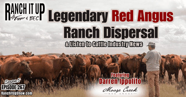 Legendary Red Angus Ranch Disperses & Cattle Industry News