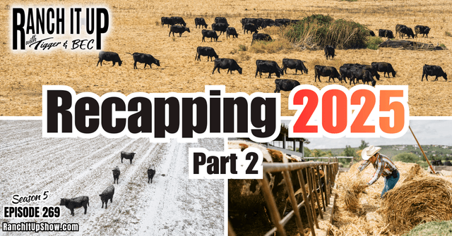 Ranching Headlines Of 2025: Part 2