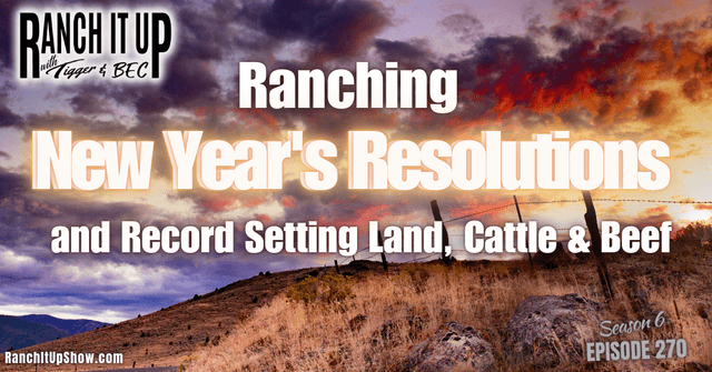 Ranching Resolutions And Record Land, Cattle, & Beef Prices
