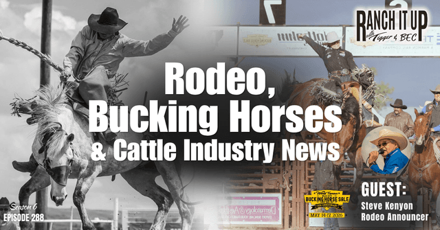 Rodeo, Bucking Horses & Cattle Industry News