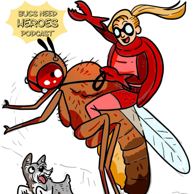 Mighty Emily (PHORETIC MITES with Dr Emily Durkin)