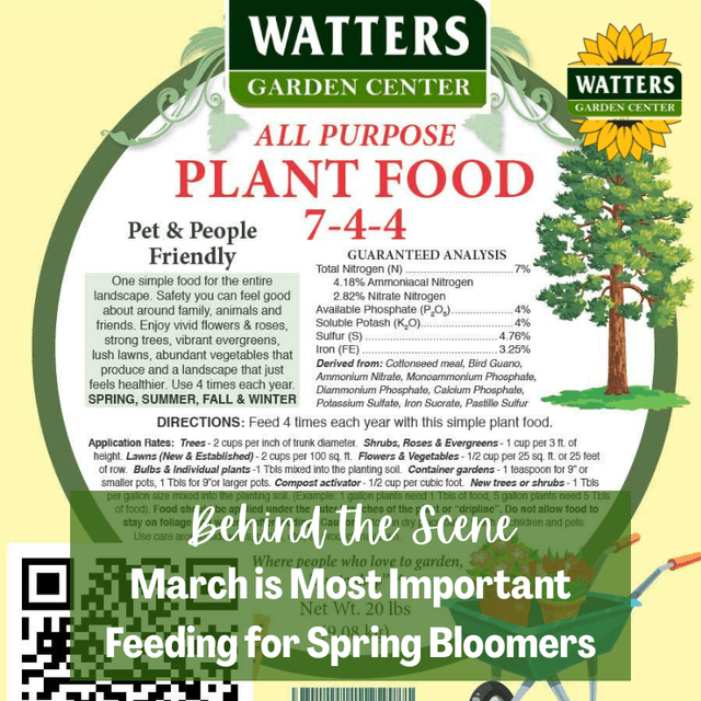 Behind the Scene Follower Bonus:March is Most Important Feeding for Spring Bloomers