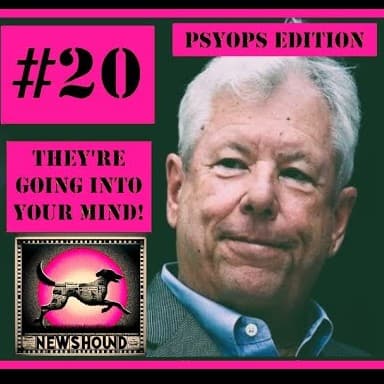 NEWSHOUND #20 - The Behavioral Insight Team is Here, Inside Your Mind