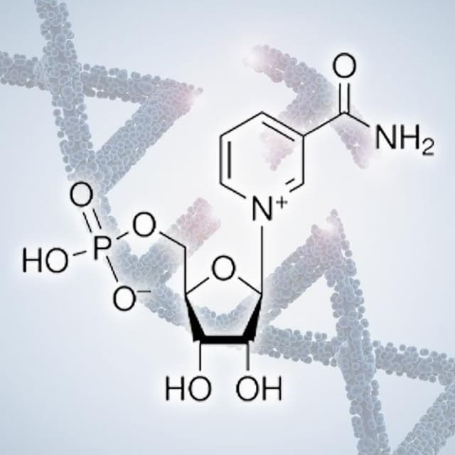 NMN 🧬 The Epigenetic B-Vitamin for Smarter Genes