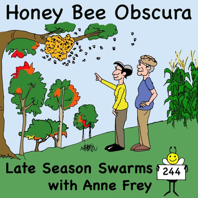 Late Season Swarms with Anne Frey