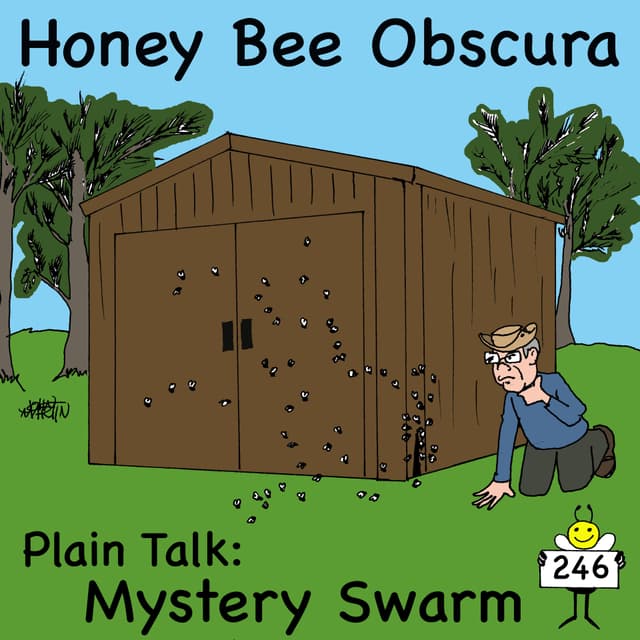 Plain Talk: Mystery Swarm