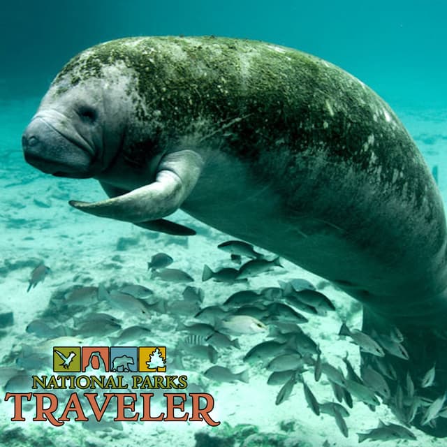 National Parks Traveler Podcast | Revisiting the ESA