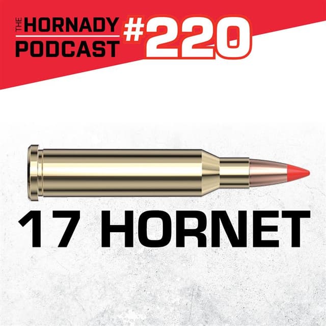 Ep. 220 - 17 Hornet | Small Cartridge, Big Sting |
