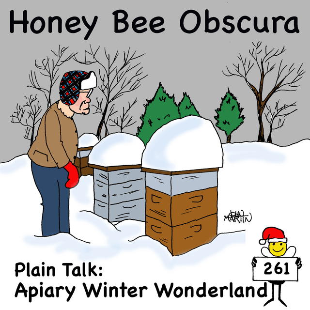 Plain Talk: Apiary Winter Wonderland
