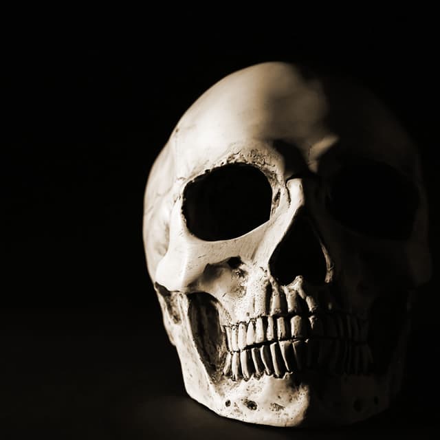 The Skeletons Who Guarded a Treasure