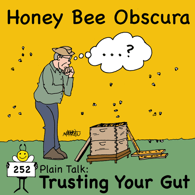 Plain Talk: Trusting Your Gut